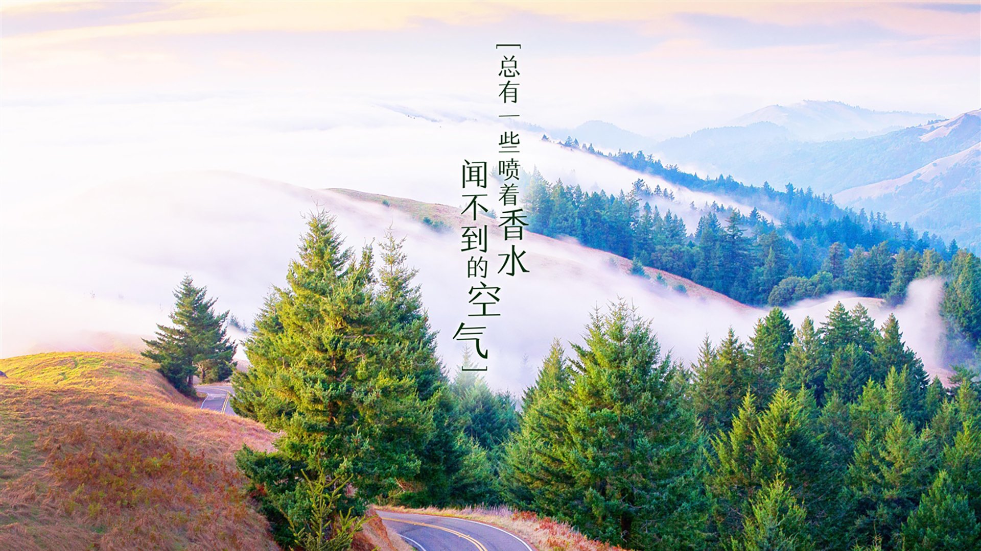 WRC粉丝团体：全球车迷的热情聚会，wrc车队排名