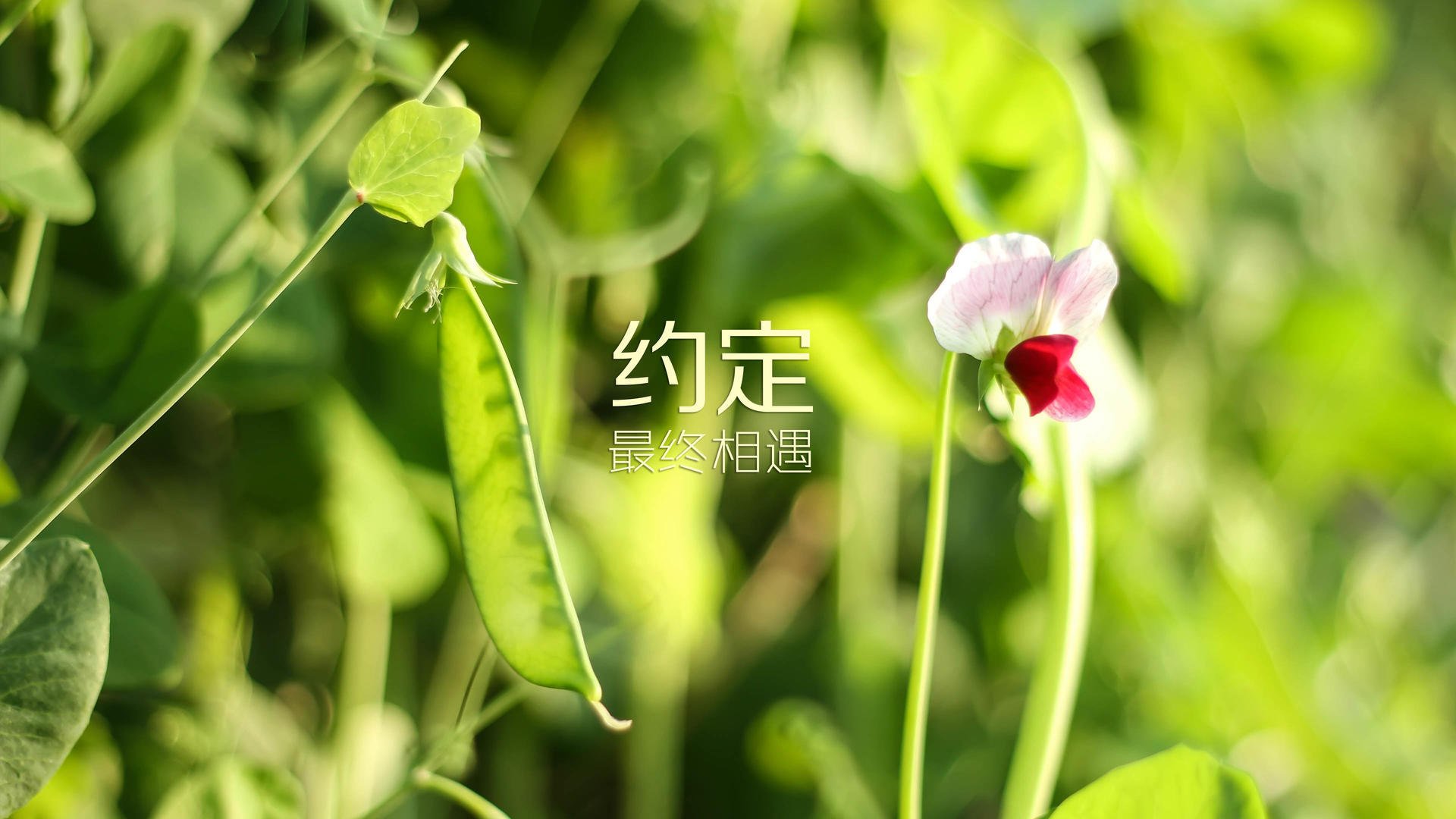 _青少年科学与运动结合：科技助力网球训练_，青少年 网球