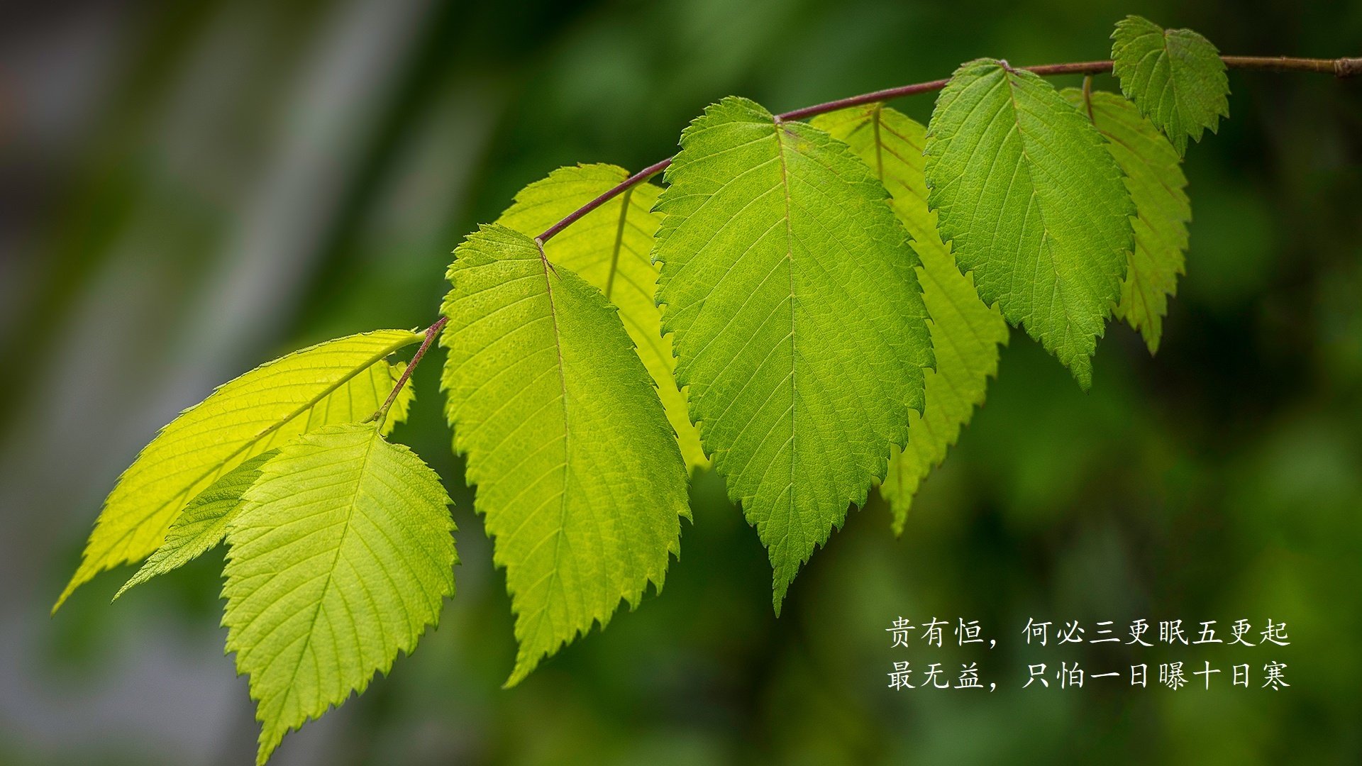 以赛代练：欧冠赛场上的技术变化趋势，欧冠赛制改革