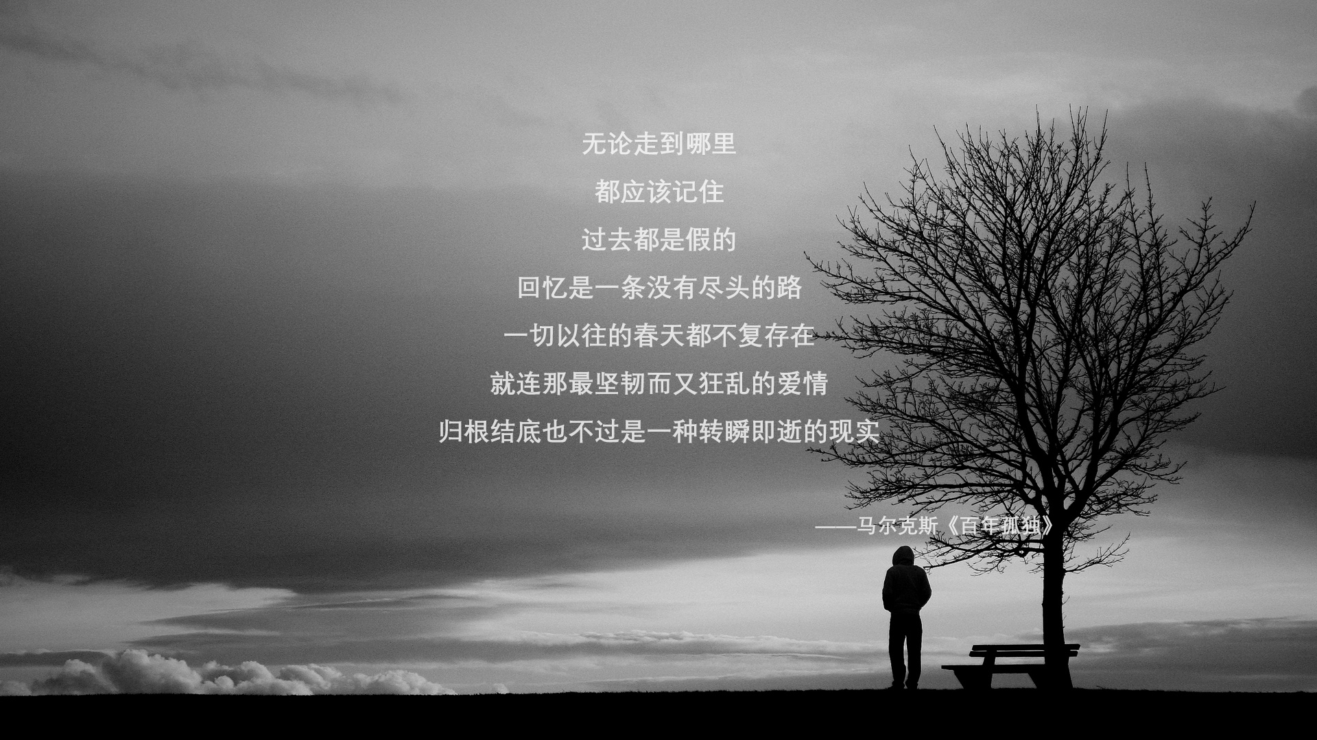 球迷“自制视频”火遍全网，那些精彩片段不能错过！，怎么制作球星视频
