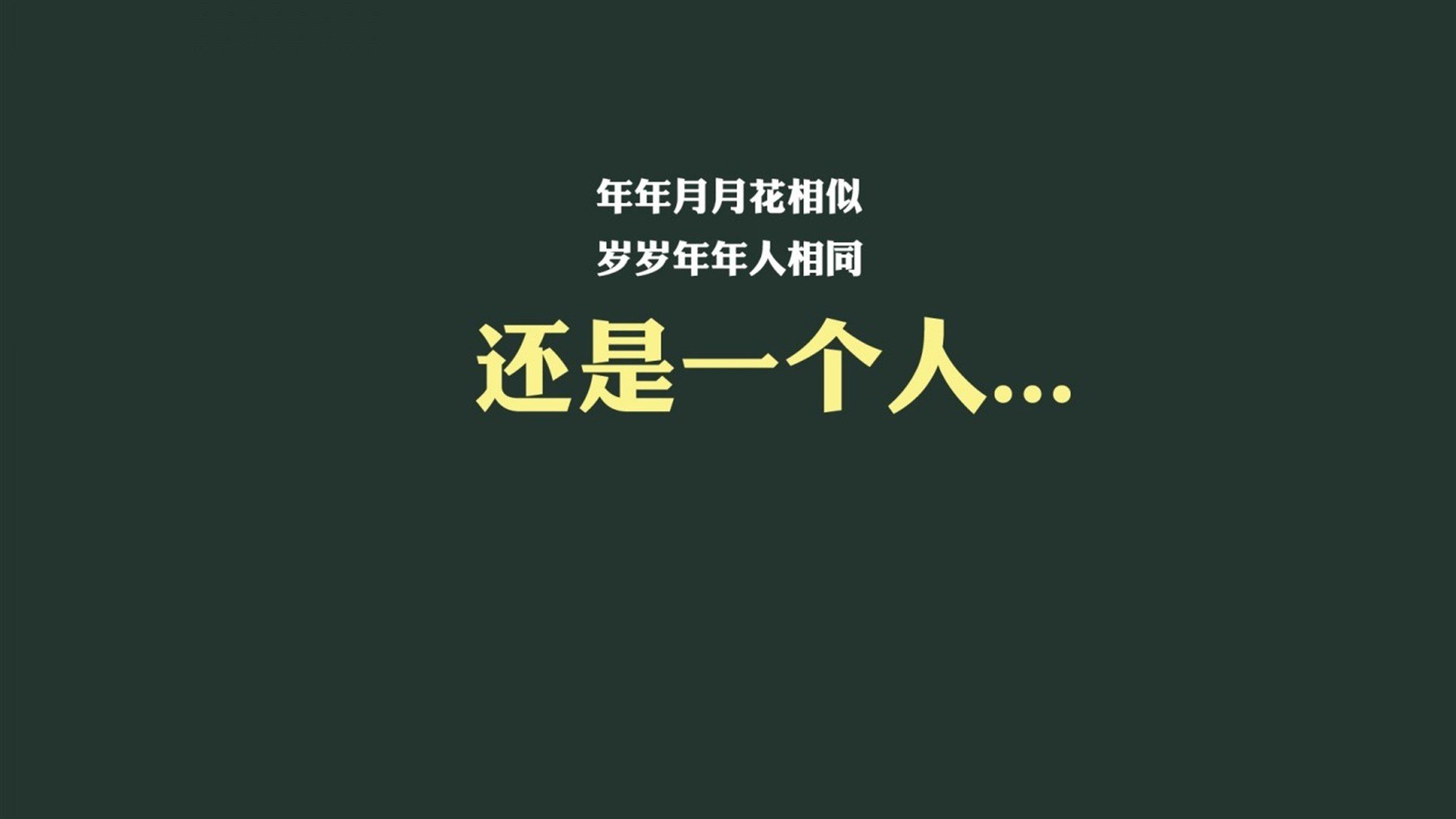 日本马术队在2024年亚洲马术锦标赛中获得团体盛装舞步金牌，表现优异。