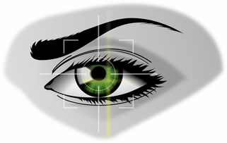 kaiyun网站-体育产业园区发展模式比较分析，体育文化产业园建设策划方案