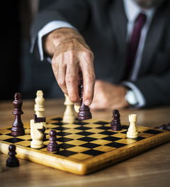 开云·体育官网-高校运动训练科学管理策略，运动训练科研管理工作要求