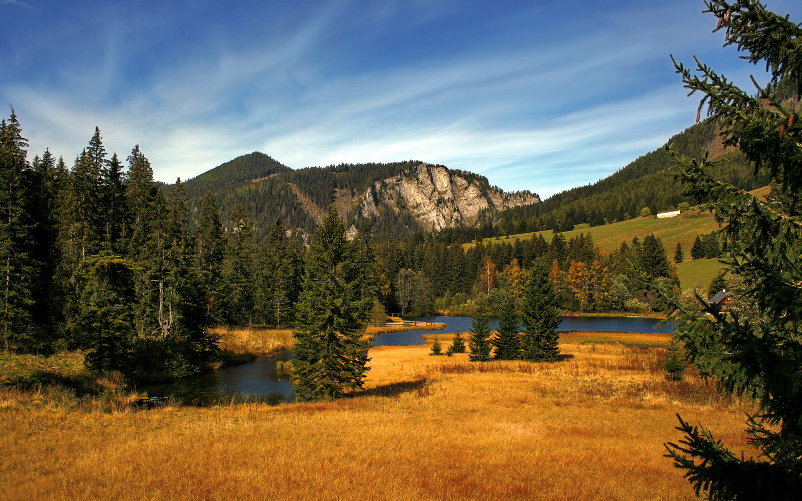 高校运动训练科学管理策略，运动训练科研管理工作要求