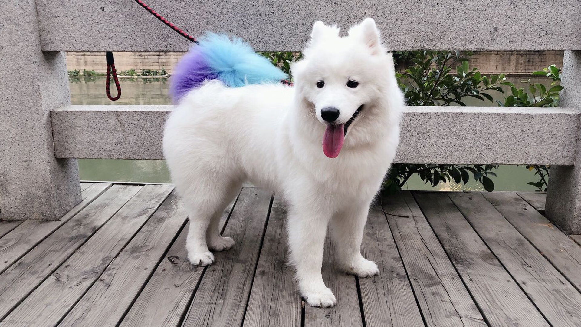 开云网站-国家队训练周期压缩影响技战术沉淀，国家队的训练时间