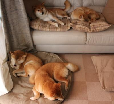 深圳领航队重视第二阵容轮换提升整体深度，深圳领航者比赛记录