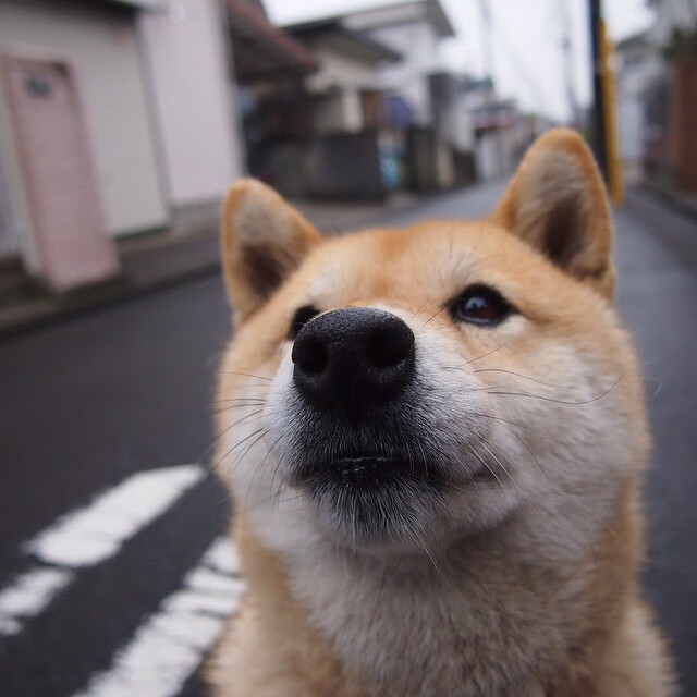海湾者主帅：全队团结应对挑战，海湾联盟