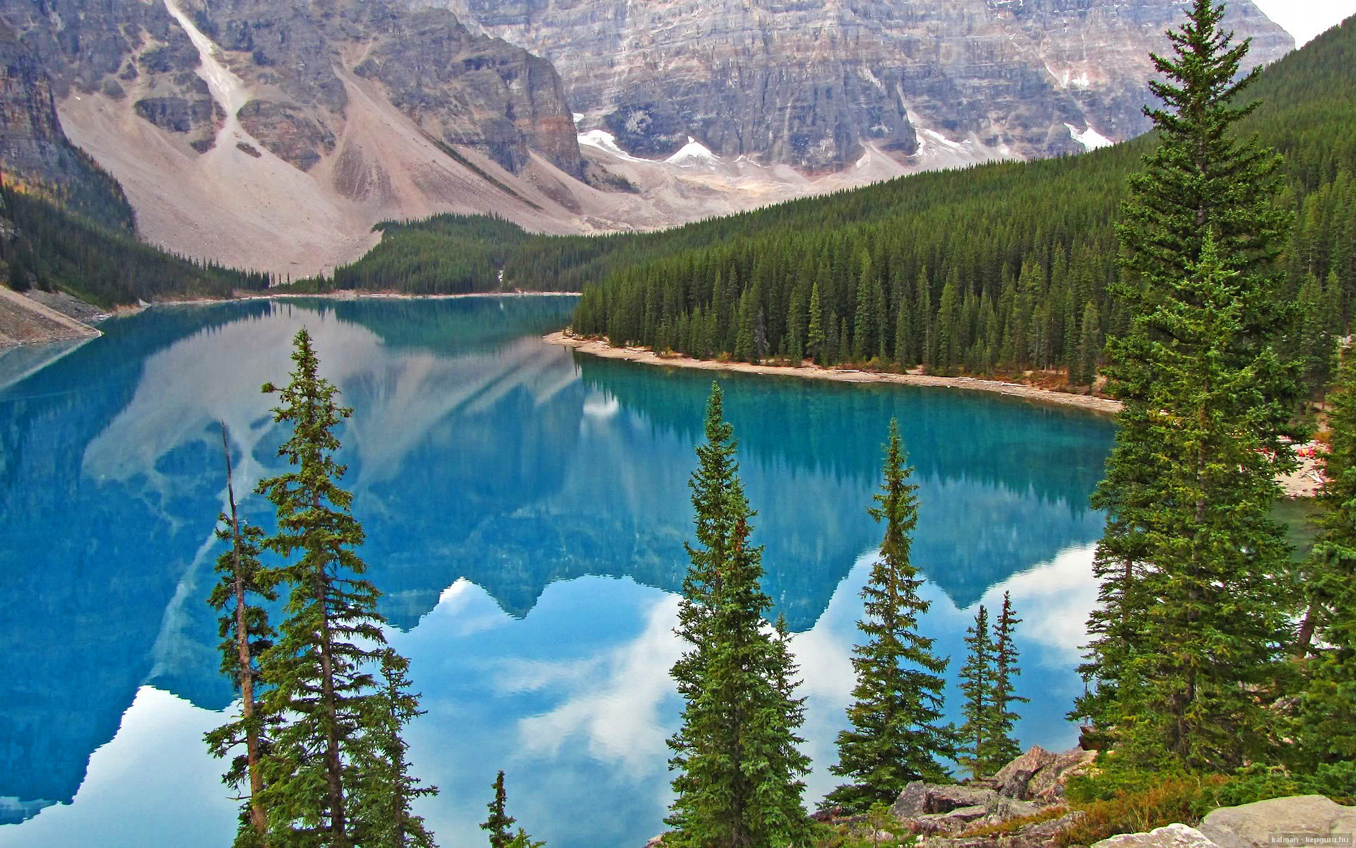 男子蛙泳德国连续四届进决赛,男子蛙泳德国连续四届进决赛了吗