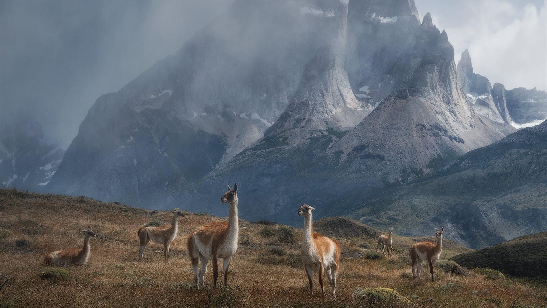 开云官方网页登录-田径超级联赛激发地方竞技水平提升，田径联盟