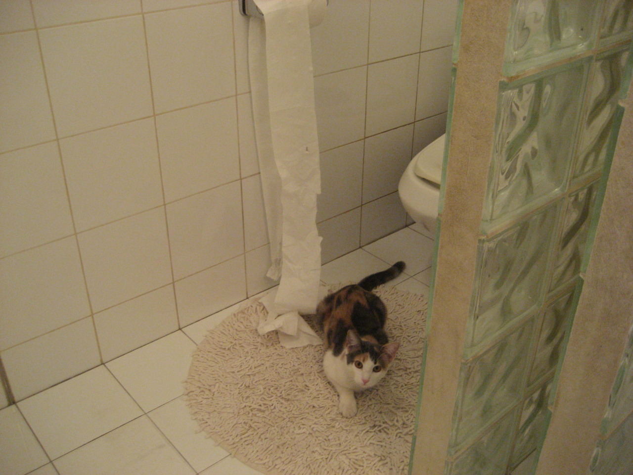 张伟丽透露备战计划已进入冲刺阶段，张伟丽二番战比赛视频录像