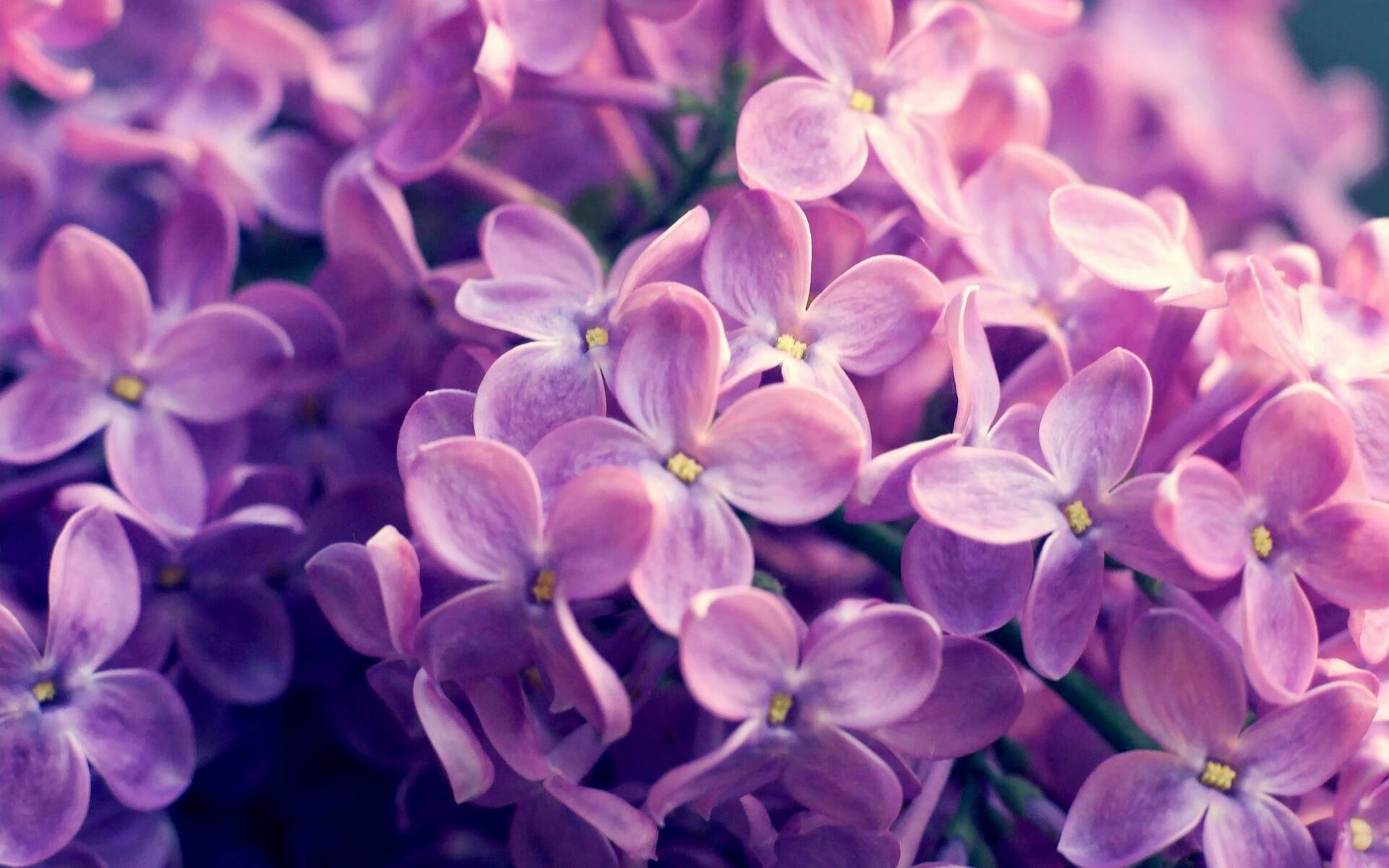 意甲攻势如潮：闪电突袭，令人瞠目！，二战意大利闪电师