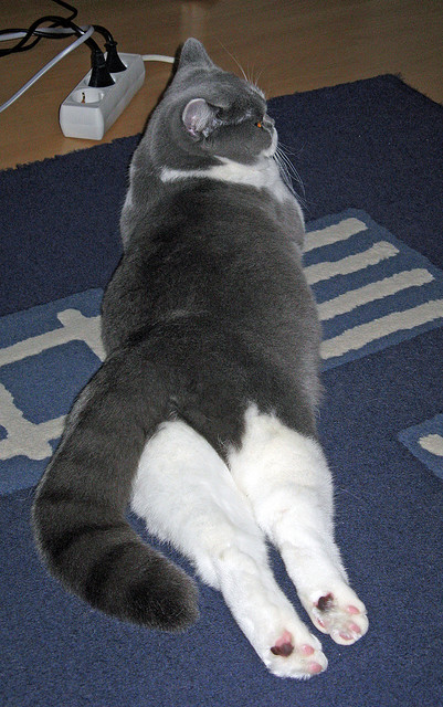 曼联主场迎战切尔西，争夺关键积分