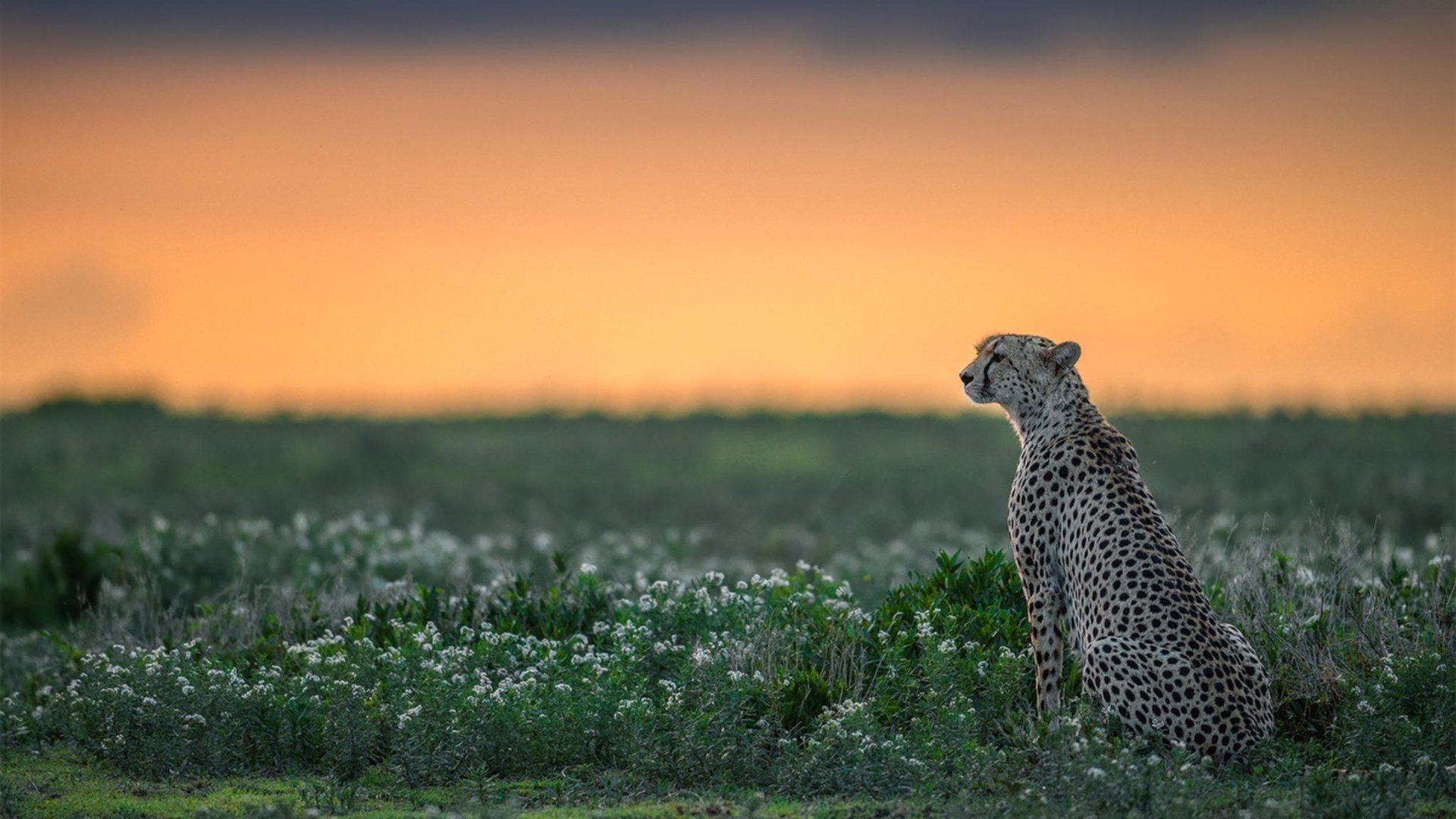 球队管理层召开内部会议研究近期成绩波动问题，球队管理人员
