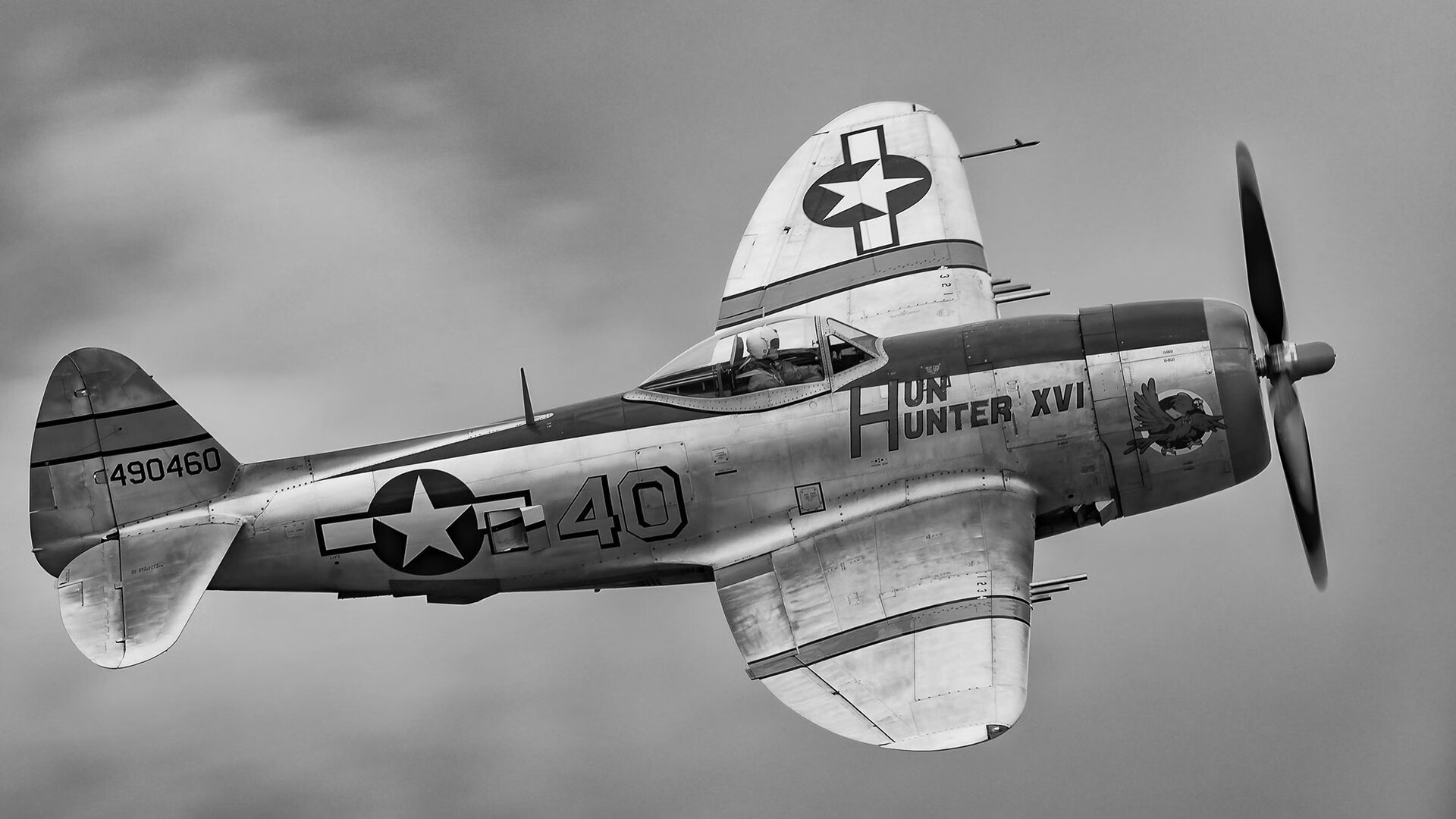 kaiyun体育app-袋鼠队主力球员：塔特 (Tate McDermott)，袋鼠体育品牌