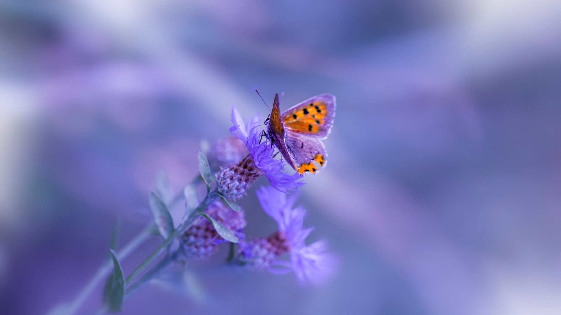 马尔尚赛后感谢团队支持与鼓励