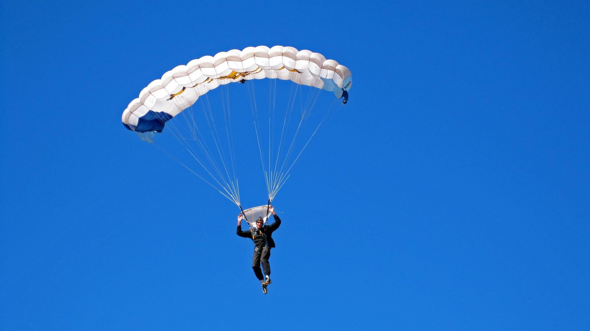 开云体育登入-_灰熊全力以赴，破敌方阵如入无人之境_，灰熊0.1秒绝杀